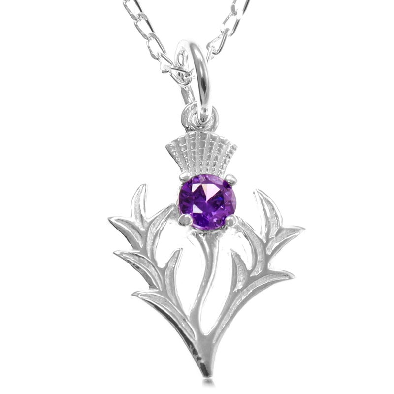Alexander Castle 925 Sterling Silver Scottish Thistle & Real Amethyst Necklace - 20mm x 16mm Pendant with 18" Silver Chain & Jewelry Gift Box - Scottish Gifts for Women - Image 1